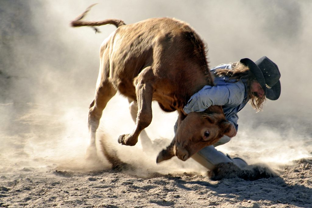 Steer Wrestler